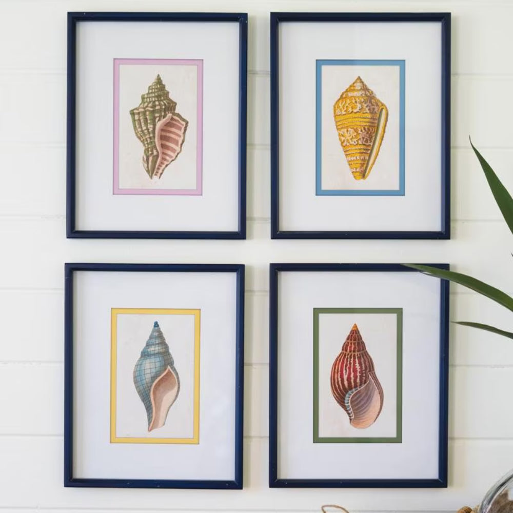 Sea Shell Wall Painting Set